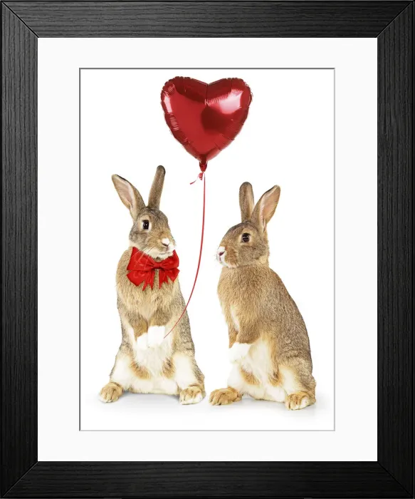 Framed Print : Domestic Rabbits standing up holding heart shaped balloon Framed Print : Domestic Rabbits standing up holding heart shaped balloon