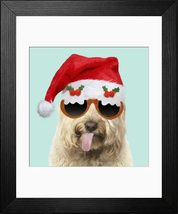 Framed Print : A23, 064. Cockerpoo Dog, mouth open, showing tongue wearing Christmas hat and glasses Date Framed Print : A23, 064. Cockerpoo Dog, mouth open, showing tongue wearing Christmas hat and glasses Date