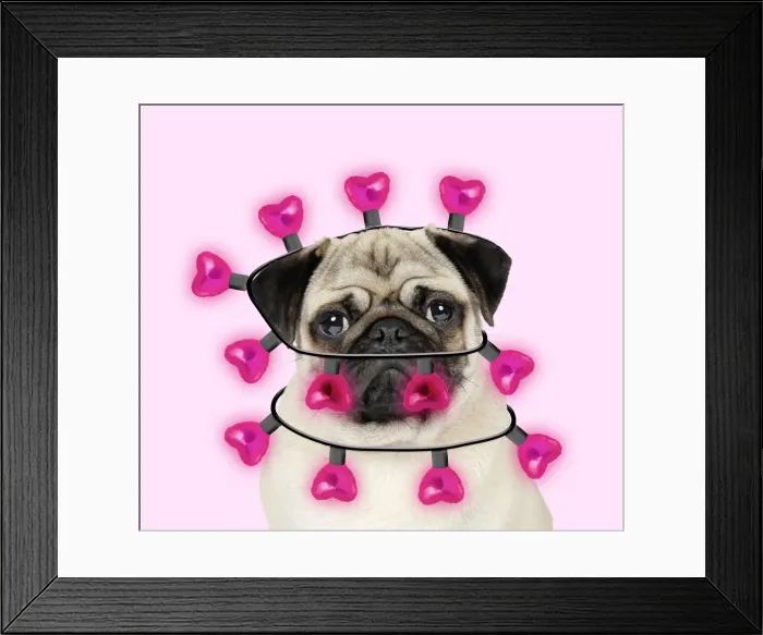 Framed Print : JD-19271-M Framed Print : JD-19271-M