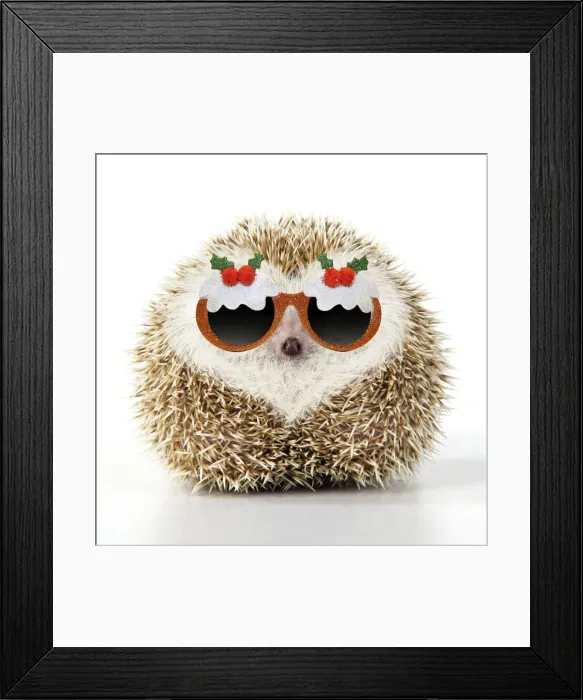 Framed Print : JD-20232. Hedgehog blonde with heart-shaped pattern in fur wearing Christmas Framed Print : JD-20232. Hedgehog blonde with heart-shaped pattern in fur wearing Christmas
