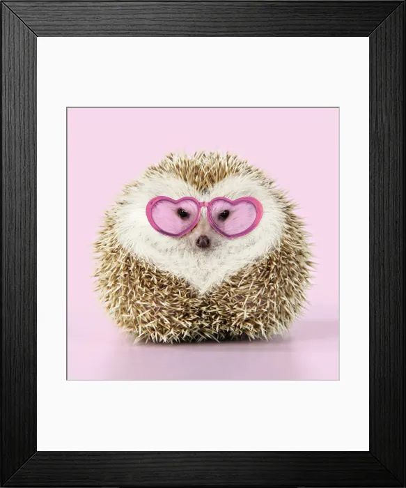 Framed Print : JD-20232. Hedgehog blonde with heart-shaped pattern in fur wearing heart-shaped Framed Print : JD-20232. Hedgehog blonde with heart-shaped pattern in fur wearing heart-shaped
