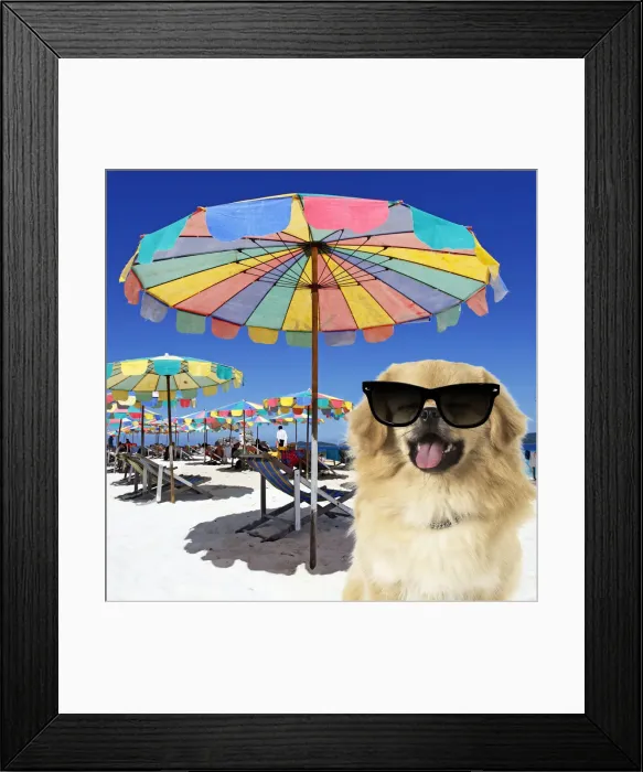 Framed Print : Tibetan Spaniel Dog wearing sunglasses on beach, Khai Nai Island, Phuket, Thailand Framed Print : Tibetan Spaniel Dog wearing sunglasses on beach, Khai Nai Island, Phuket, Thailand
