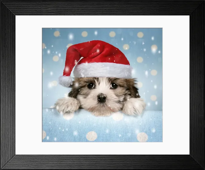 Framed Print : JD-18811-M-C Framed Print : JD-18811-M-C