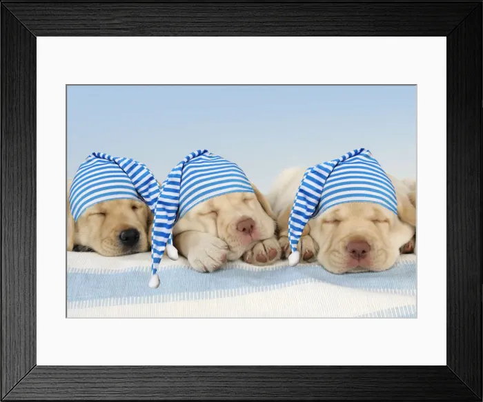 Framed Print : JD-20287-M-C1