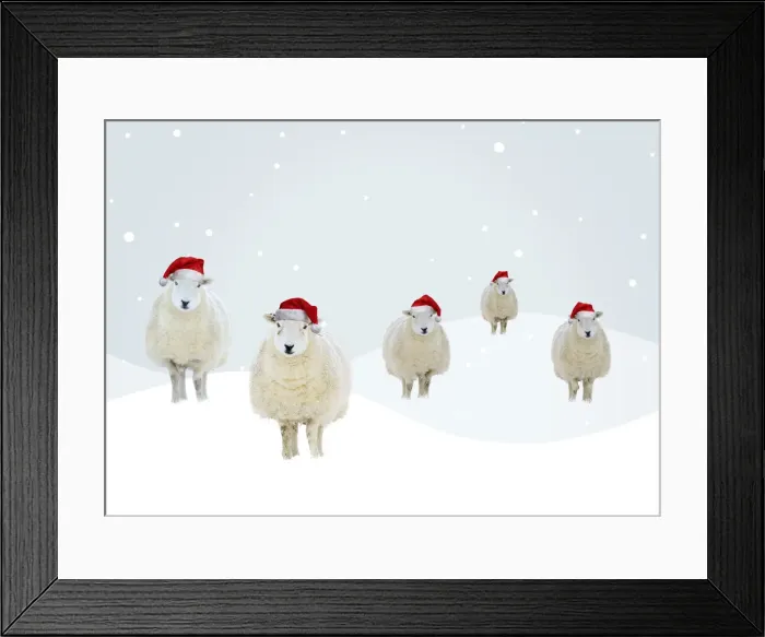Framed Print : A21, 453. Framed Print : A21, 453.