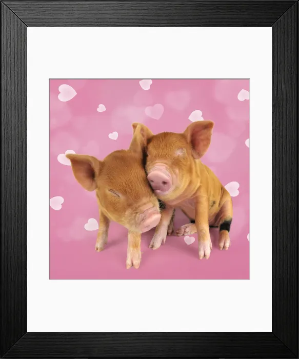 Framed Print : JD-19047-M Framed Print : JD-19047-M