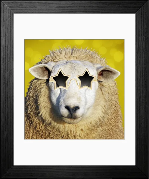 Framed Print : PAB-35-M. Sheep - in star shaped gold sun-glasses Framed Print : PAB-35-M. Sheep - in star shaped gold sun-glasses