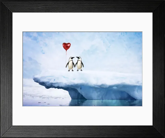 Framed Print : A-011-M. Jackass Penguins, on iceberg, holding hands Framed Print : A-011-M. Jackass Penguins, on iceberg, holding hands