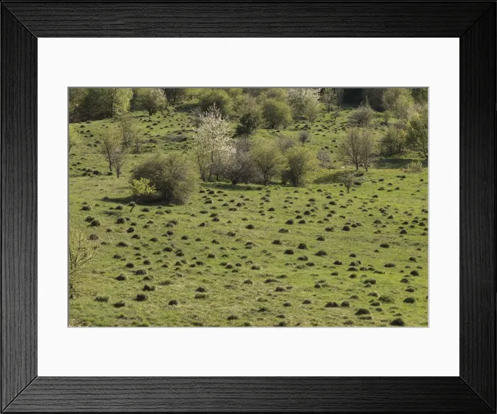 Framed Print : RBG18-1898 Framed Print : RBG18-1898