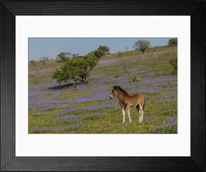 Framed Print : RBG18-2393 Framed Print : RBG18-2393
