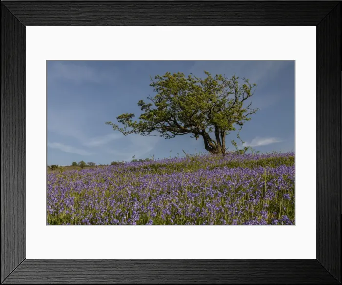 Framed Print : RBG18-2481 Framed Print : RBG18-2481