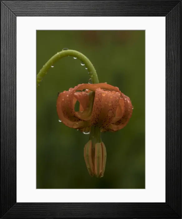 Framed Print : RBG18-2734 Framed Print : RBG18-2734