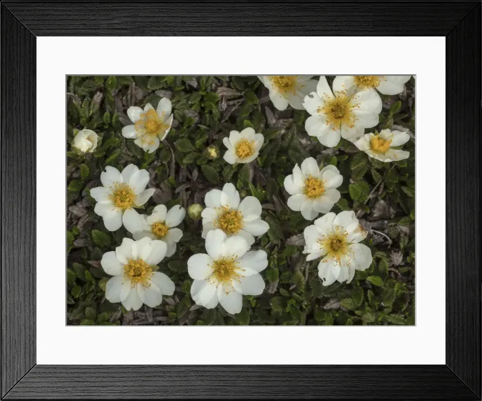 Framed Print : RBG18-2760 Framed Print : RBG18-2760
