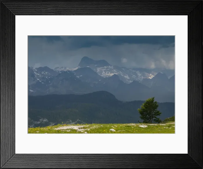 Framed Print : RBG18-3236 Framed Print : RBG18-3236