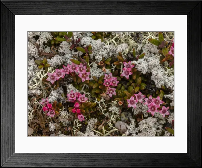 Framed Print : RBG18-4007 Framed Print : RBG18-4007