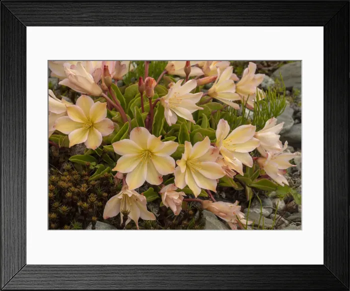 Framed Print : RBG18-4091 Framed Print : RBG18-4091