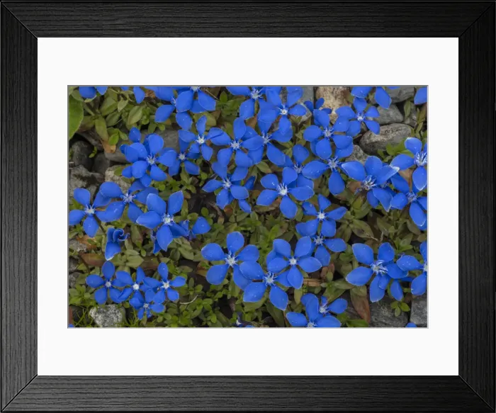 Framed Print : RBG18-4128 Framed Print : RBG18-4128