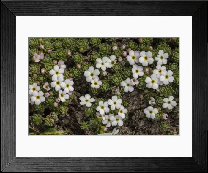 Framed Print : RBG18-5609 Framed Print : RBG18-5609