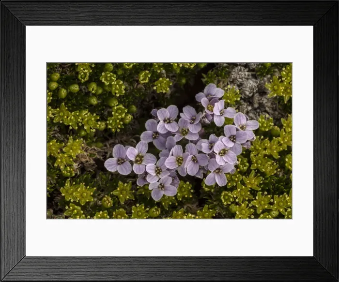Framed Print : RBG18-6122 Framed Print : RBG18-6122