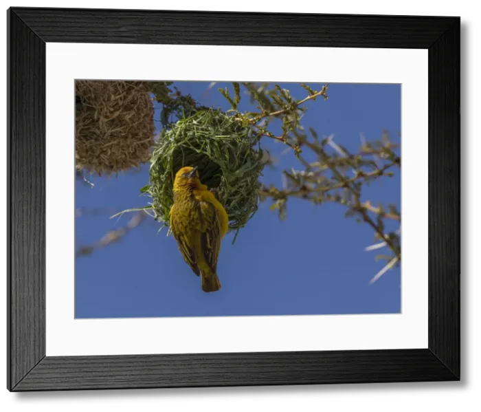 Framed Print : RBG18-6510 Framed Print : RBG18-6510