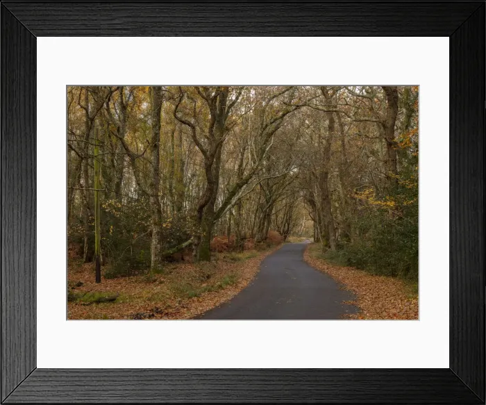 Framed Print : RBG18-8061 Framed Print : RBG18-8061
