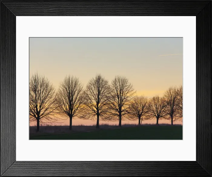 Framed Print : Silver Lime Alley 02, S-E Arndt Framed Print : Silver Lime Alley 02, S-E Arndt