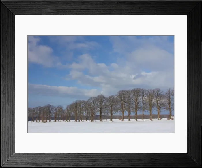 Framed Print : Silver Lime Alley 05, S-E Arndt Framed Print : Silver Lime Alley 05, S-E Arndt