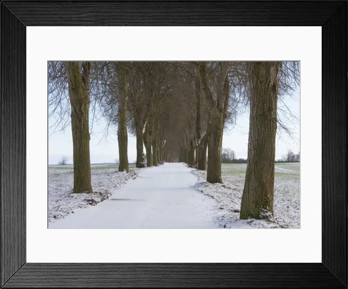 Framed Print : Silver Lime Alley 09, S-E Arndt Framed Print : Silver Lime Alley 09, S-E Arndt