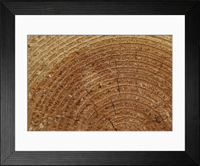 Framed Print : Woodpile 13 Framed Print : Woodpile 13