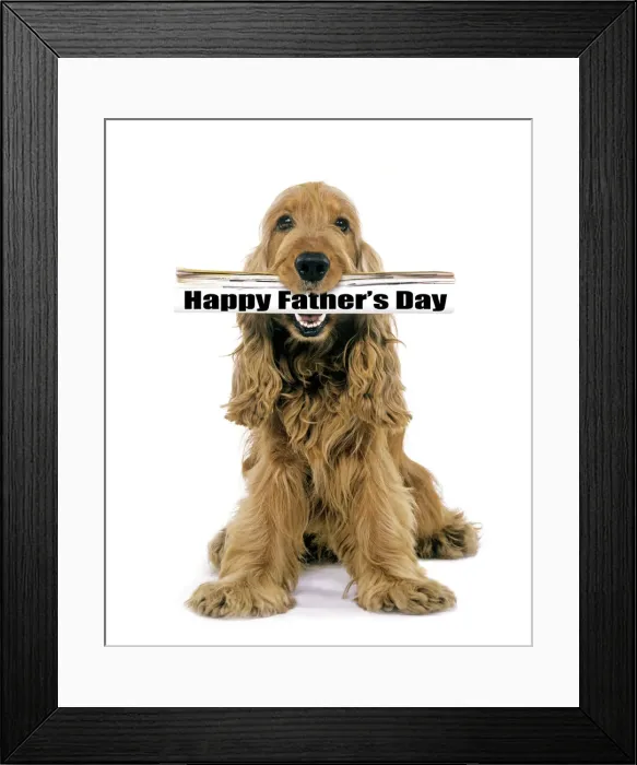 Framed Print : LA-1308. Dog - Cocker Spaniel, holding newspaper in mouth Date: 07-Apr-05 Framed Print : LA-1308. Dog - Cocker Spaniel, holding newspaper in mouth Date: 07-Apr-05