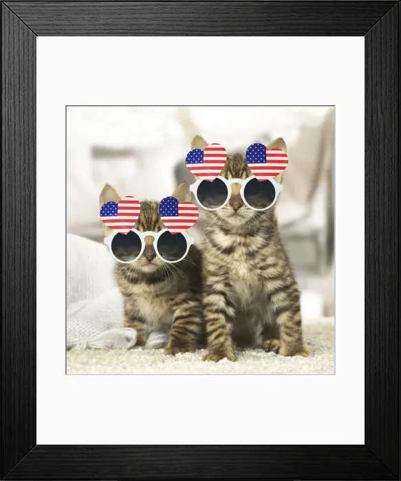 Framed Print : LABRO_078162
