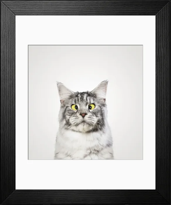 Framed Print : LA-90225186-NEWNO Framed Print : LA-90225186-NEWNO