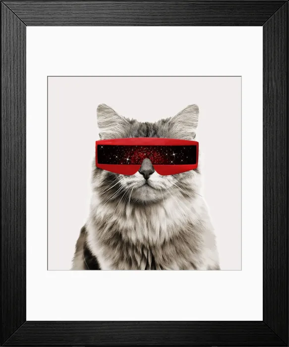 Framed Print : British longhair black golden shaded Cat, smiling wearing futuristic sun glasses Framed Print : British longhair black golden shaded Cat, smiling wearing futuristic sun glasses