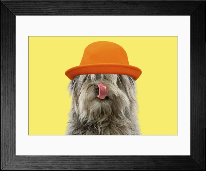Framed Print : LA-13145-M1 Framed Print : LA-13145-M1