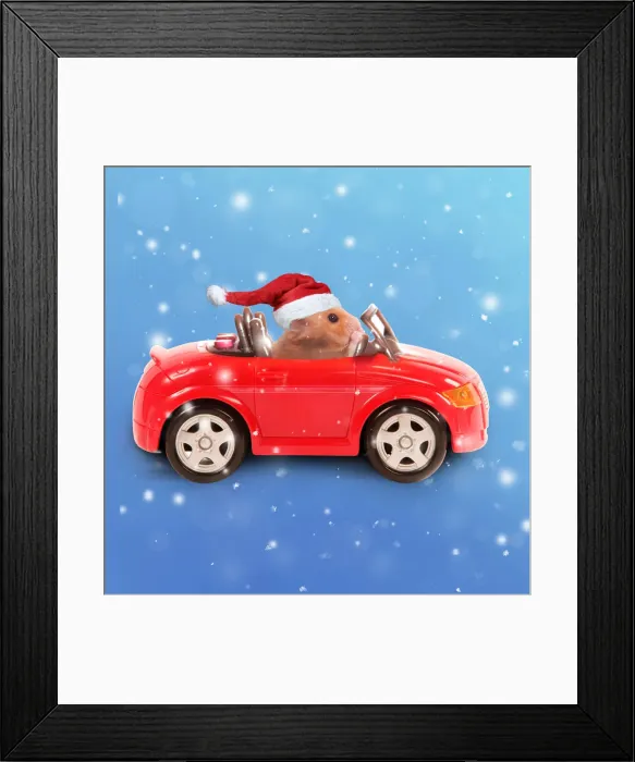 Framed Print : LA-3728-M5 Framed Print : LA-3728-M5