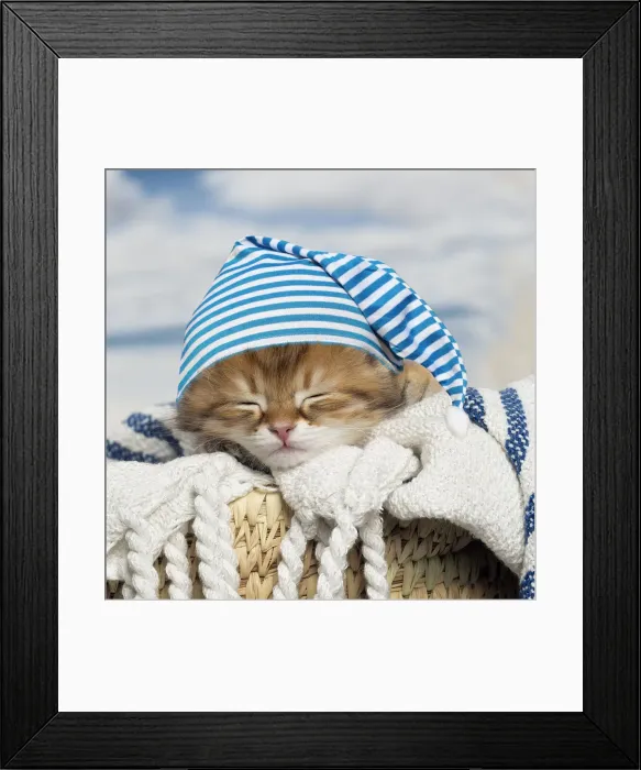 Framed Print : LABRO_079154 Framed Print : LABRO_079154