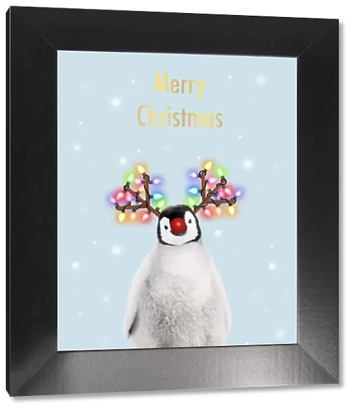 Emperor Penguin, Young smiling with Rudolph red nose, antlers and Christmas lights