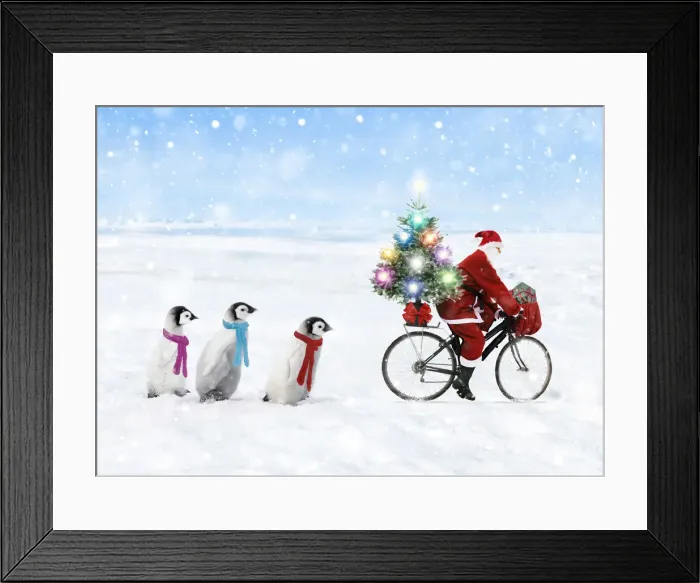 Framed Print : Father Christmas / Santa Claus cycling with a line of young Emperor Penguins wearing scarves Framed Print : Father Christmas / Santa Claus cycling with a line of young Emperor Penguins wearing scarves