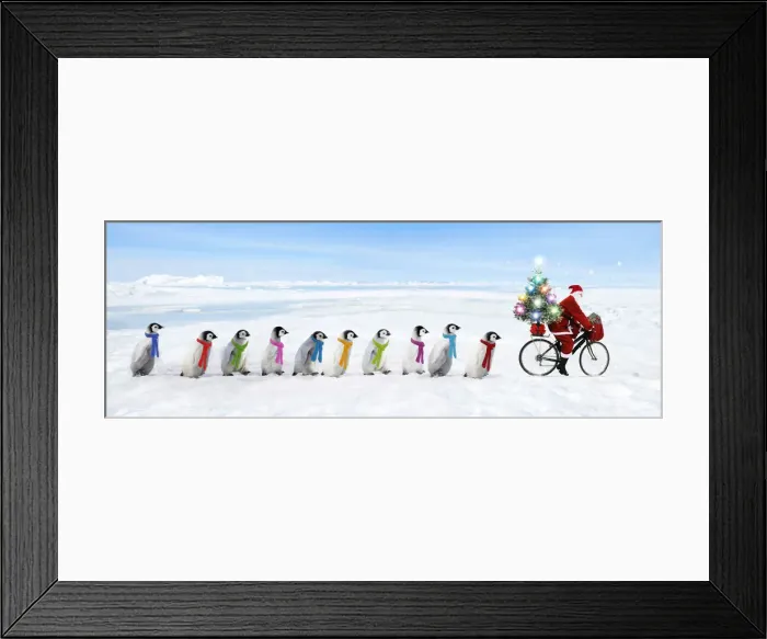 Framed Print : Father Christmas / Santa Claus cycling with a line of young Emperor Penguins wearing scarves Framed Print : Father Christmas / Santa Claus cycling with a line of young Emperor Penguins wearing scarves