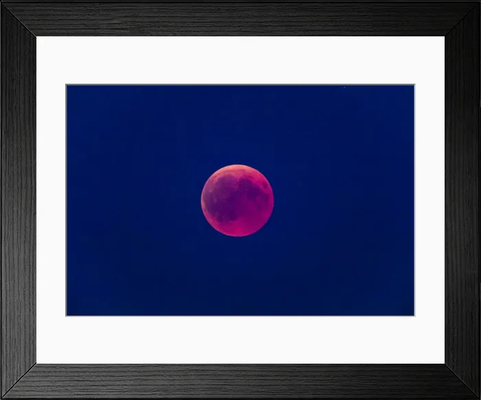 Framed Print : P2A1865. Moon Eclipse - the full moon appears red as it rises, during a full eclipse, 27th Framed Print : P2A1865. Moon Eclipse - the full moon appears red as it rises, during a full eclipse, 27th