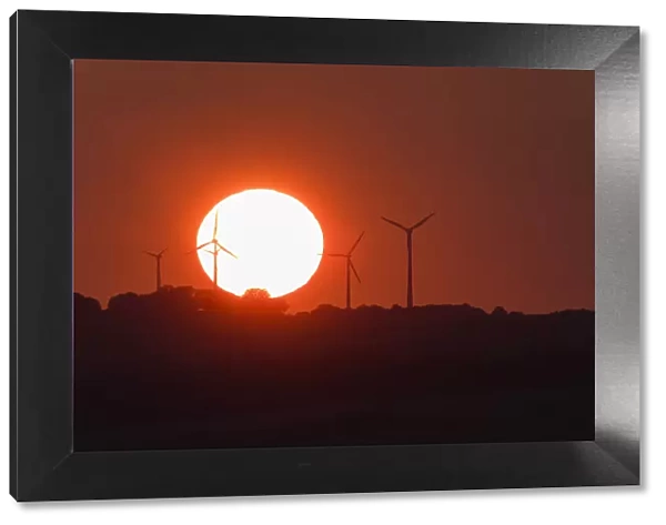 P2A2849. Wind Park - with setting sun, North Hessen, Germany Date: 11-Feb-19