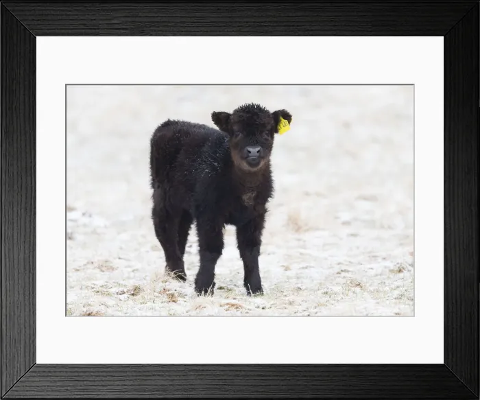 Framed Print : 180320d0009 Framed Print : 180320d0009