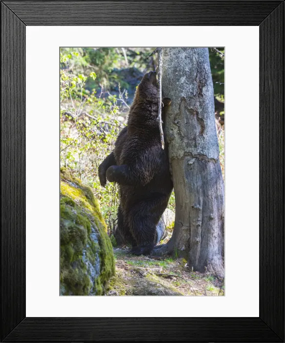 Framed Print : 180421d0100 Framed Print : 180421d0100