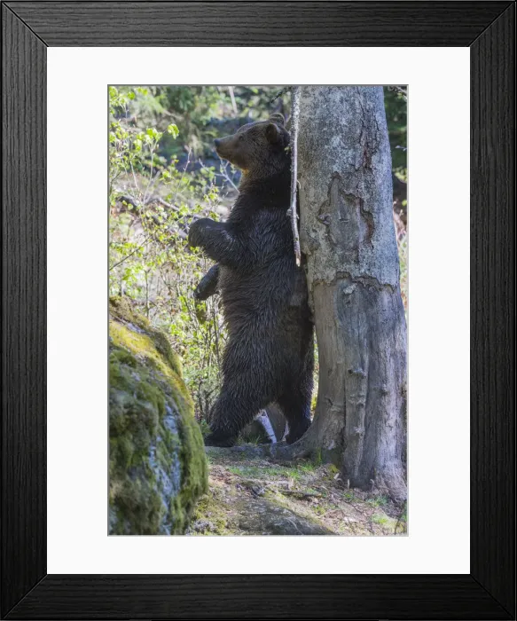 Framed Print : 180421d0101 Framed Print : 180421d0101