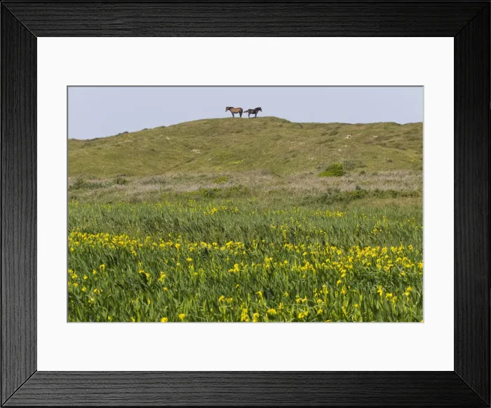 Framed Print : 180521d0055 Framed Print : 180521d0055