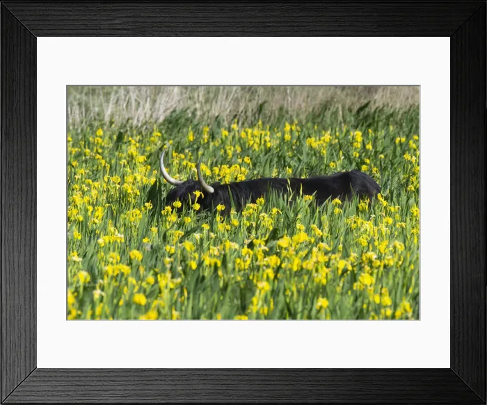 Framed Print : 180521d0059 Framed Print : 180521d0059