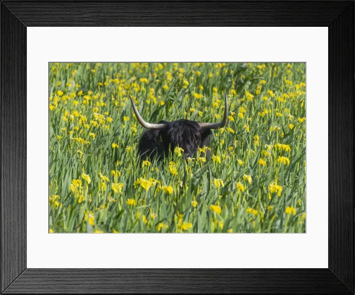 Framed Print : 180521d0061 Framed Print : 180521d0061