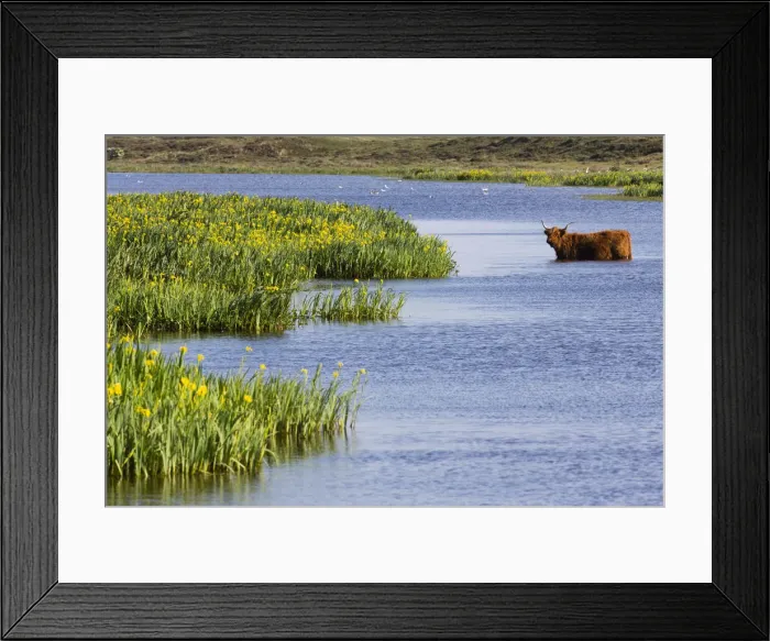 Framed Print : 180521d0062 Framed Print : 180521d0062