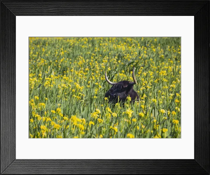 Framed Print : 180521w0123 Framed Print : 180521w0123