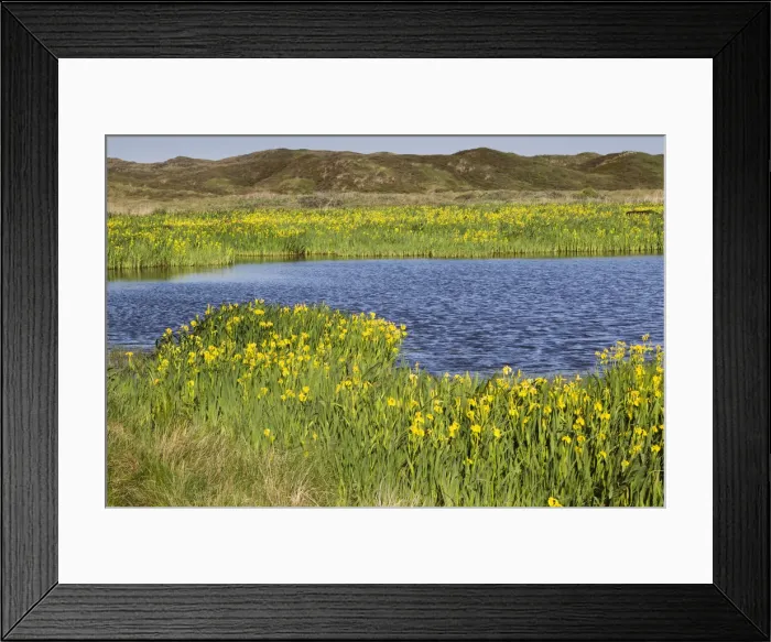 Framed Print : 180521w0130 Framed Print : 180521w0130